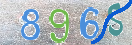 キャプチャ画像