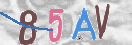 キャプチャ画像